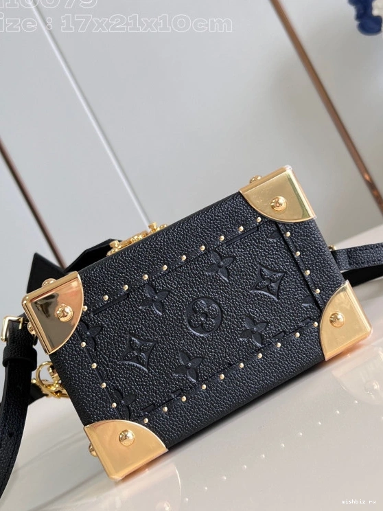 WIS VUITTON Box LOUIS Monogram Camera Canvas 1009